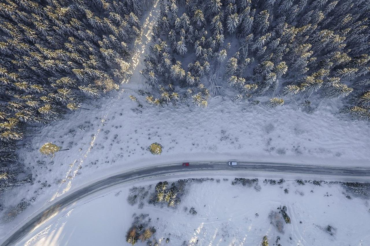sky shot of forest winter road