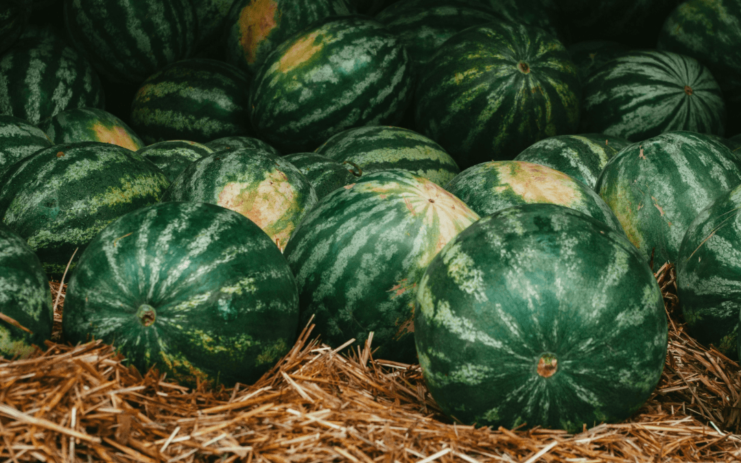 watermelons