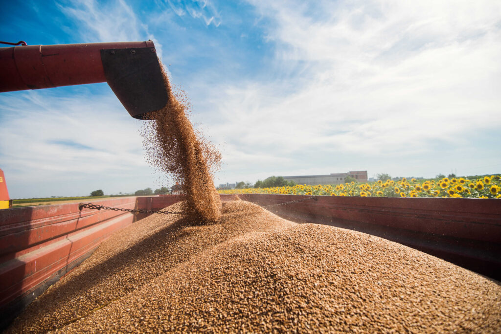 agriculture